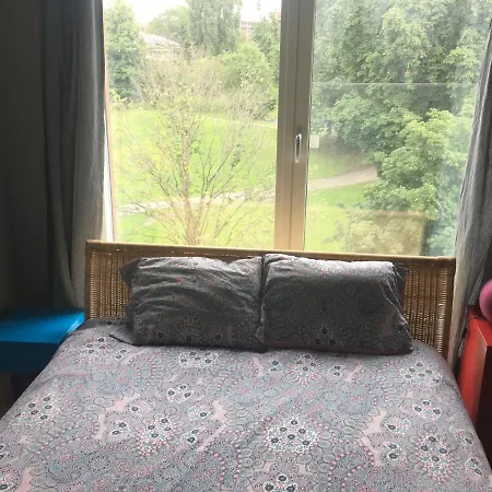 Проживание в семье Cozy Near To S